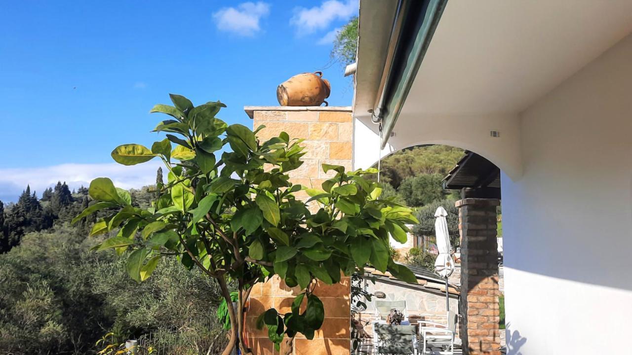Villa Claire Corfu Achilleion Ngoại thất bức ảnh